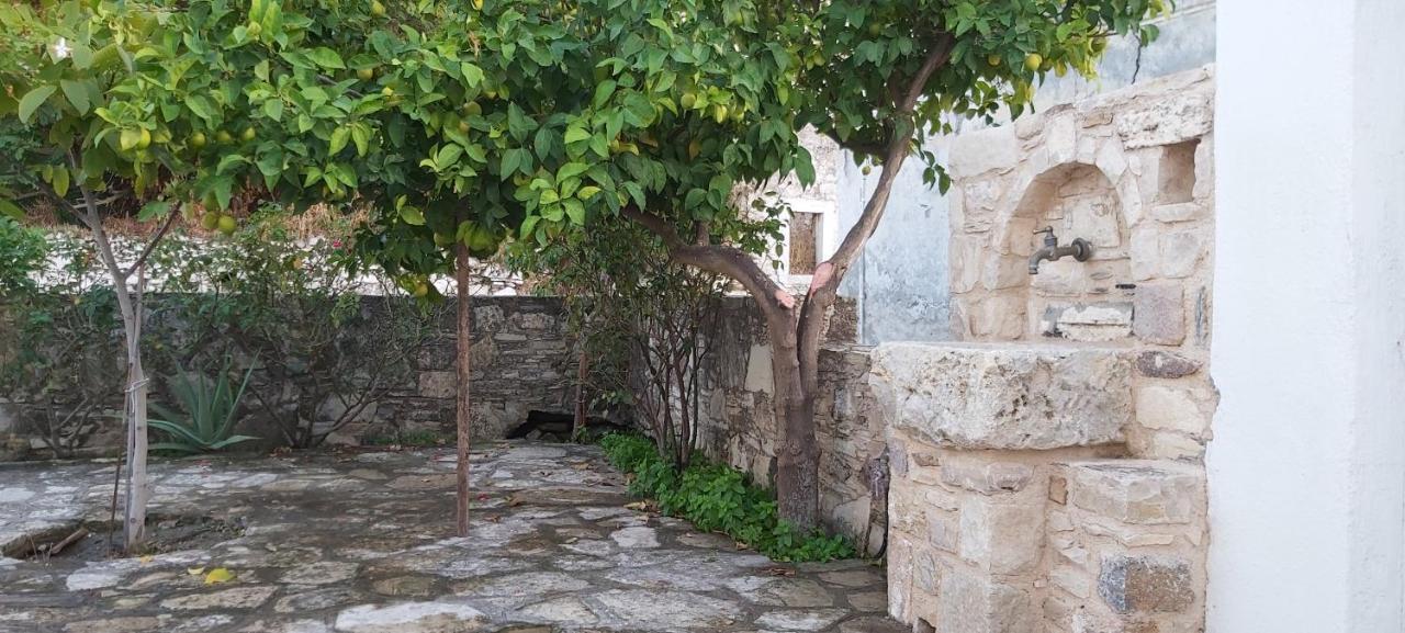 Small Traditional House In Asfendiou Kos Agios Dimitrios  Eksteriør bilde