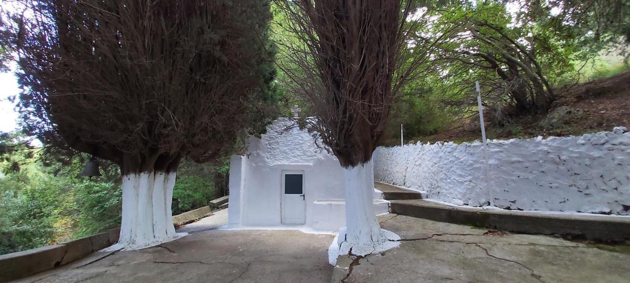 Small Traditional House In Asfendiou Kos Agios Dimitrios  Eksteriør bilde